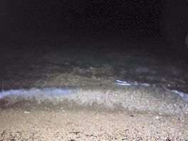Una de las calas de noche
