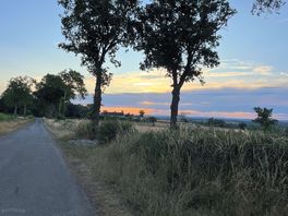 Evening walk