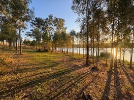 Oz Sky Ranch Campsite