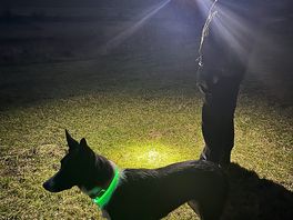 Walking to the pub for dinner