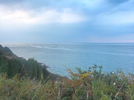 Costal walk from campsite