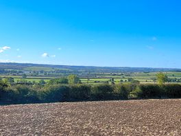 The view to the west from plot 6.