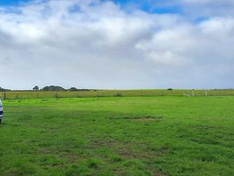 Our pitch