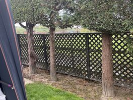 Fence around whole site, hedge just for our pitch