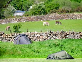 Non-electric grass tent pitches
