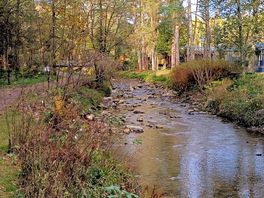River veiws