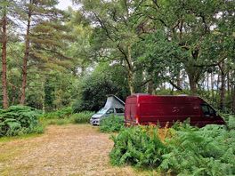 Decent distance between pitches and privacy when on a camping chair.