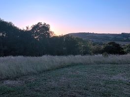 Great evening
