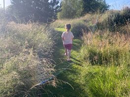 Exploring the pathways