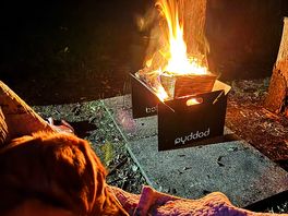 Toasty paws