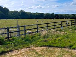 The view from one of the pitches.