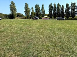 Field
