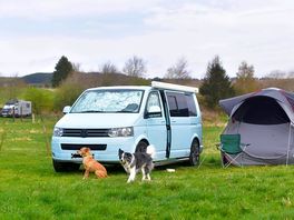 Dog-friendly site