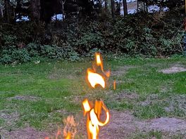 Fire pit which we rented for £5 a night. fire wood bought from poole asda