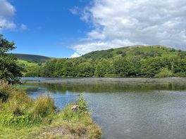 A picture of the lake