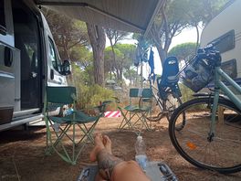Pini, cicale e relax