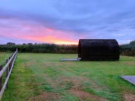 Beautiful sunset