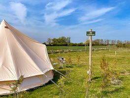 Hornbeam's pitch with rural views