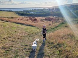 Dog walk