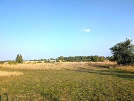 Grassy open pitches for groups