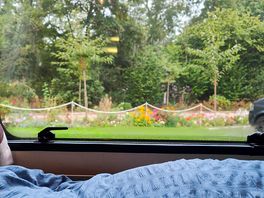 View from caravan