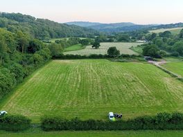 The field