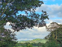 View walking down from the washing up area - beautiful
