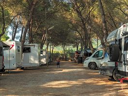 Tourer pitches under the trees