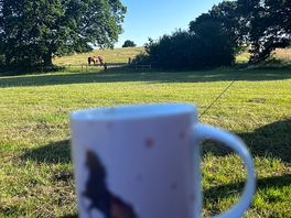 Morning coffee with horses
