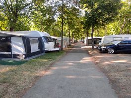 Przestronne parcele w otoczeniu drzew polecam .
