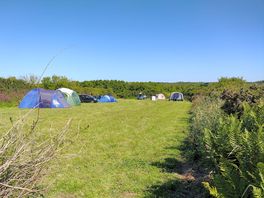 Lower meadow