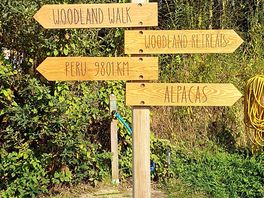 Signpost