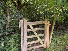 Gate to woodland