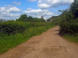 Nature walk