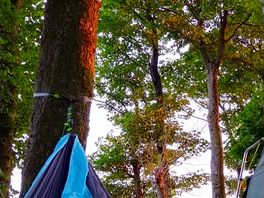 Hammock