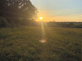 🌅