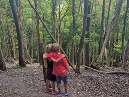 Walking in the forest
