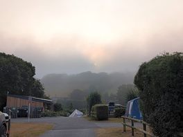 A foggy devon morning