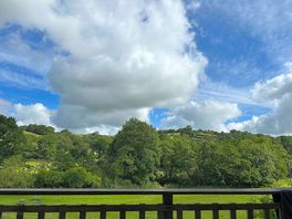 Another view from the veranda