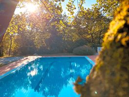 The pool