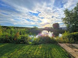 Early morning sunshine over the site pond.