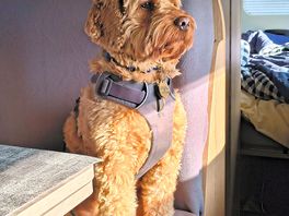 Wally head of security.