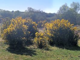 2 minutes from site.