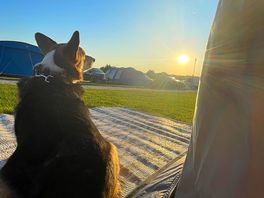 Peaceful sunset