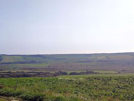 View from the site