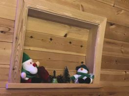 Christmas visitors