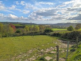 Site views