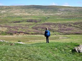 Kingsdale