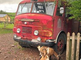 Goat and great old fire truck