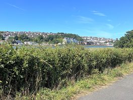On the tarka trial